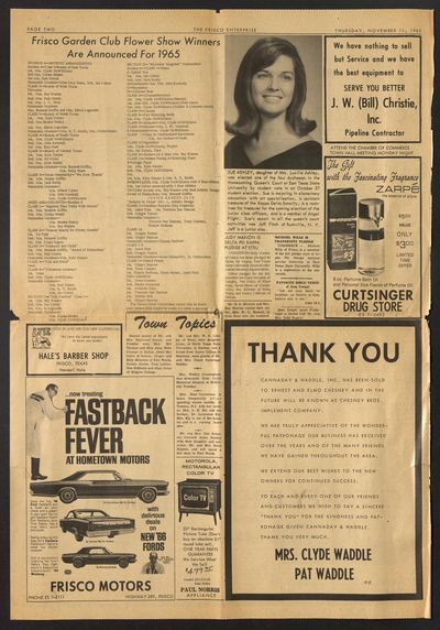The Frisco Enterprise (Frisco, Tex.) — page 2