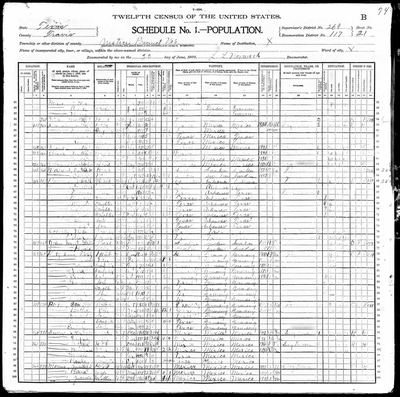 1900 United States Federal Census — J.P. 6, Travis Co., TX, ED 117, sh. 21B (Ancestry record 44341807) · **S228** — page sh. 21B