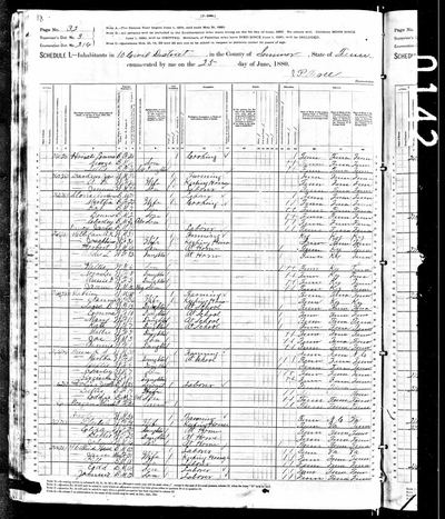 1880 United States Federal Census — 10th Civil Dist., Sumner Co., Tenn., ED 214, p. 32 (Ancestry record 16828687) · **S207** — page p. 32