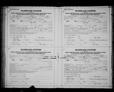 Utah, County Marriages, 1871-1941 (FamilySearch coll. 1803977) — film frame, Record E pp. 202-203 — page 202-203