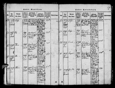 Røldal parish register (ministerialbok), Hordaland, Norway — page p. 7, 1820, no. 29