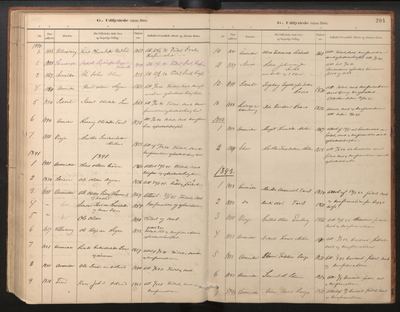 Røldal parish register (ministerialbok), Hordaland, Norway — page folio 204, 1890–1893