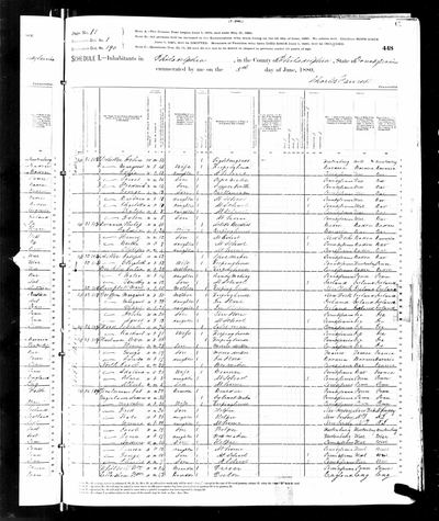 1880 United States Federal Census — Philadelphia, SD 1, ED 190, page 11 (Ancestry coll. 6742, record 225860, image 4244458-00660) · **S176** — page p. 11