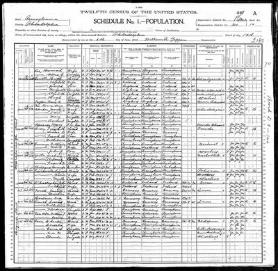 Eva Harbauer, 74, mother of Louise Emma Harbauer Timberman (Earl's 3rd great-grandmother), 1900 U.S. census, Philadelphia Ward 18