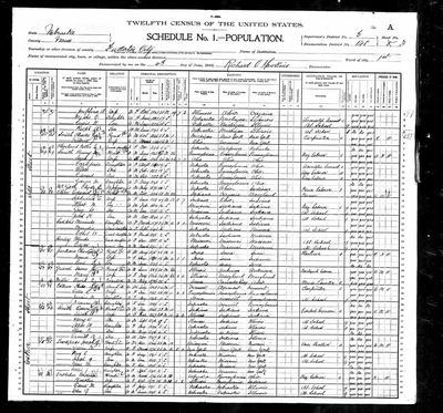 1900 United States Federal Census — Fullerton City, Nance Co., Neb., ED 145, sh. 3A (Ancestry record 55270332) · **S213** — page sh. 3A