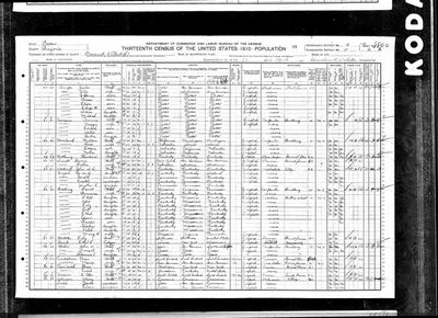 1910 United States Federal Census — Pct 5, Brazoria Co., TX, ED 11, sh. 2A (Ancestry record 143961038) · **S224** — page sh. 2A